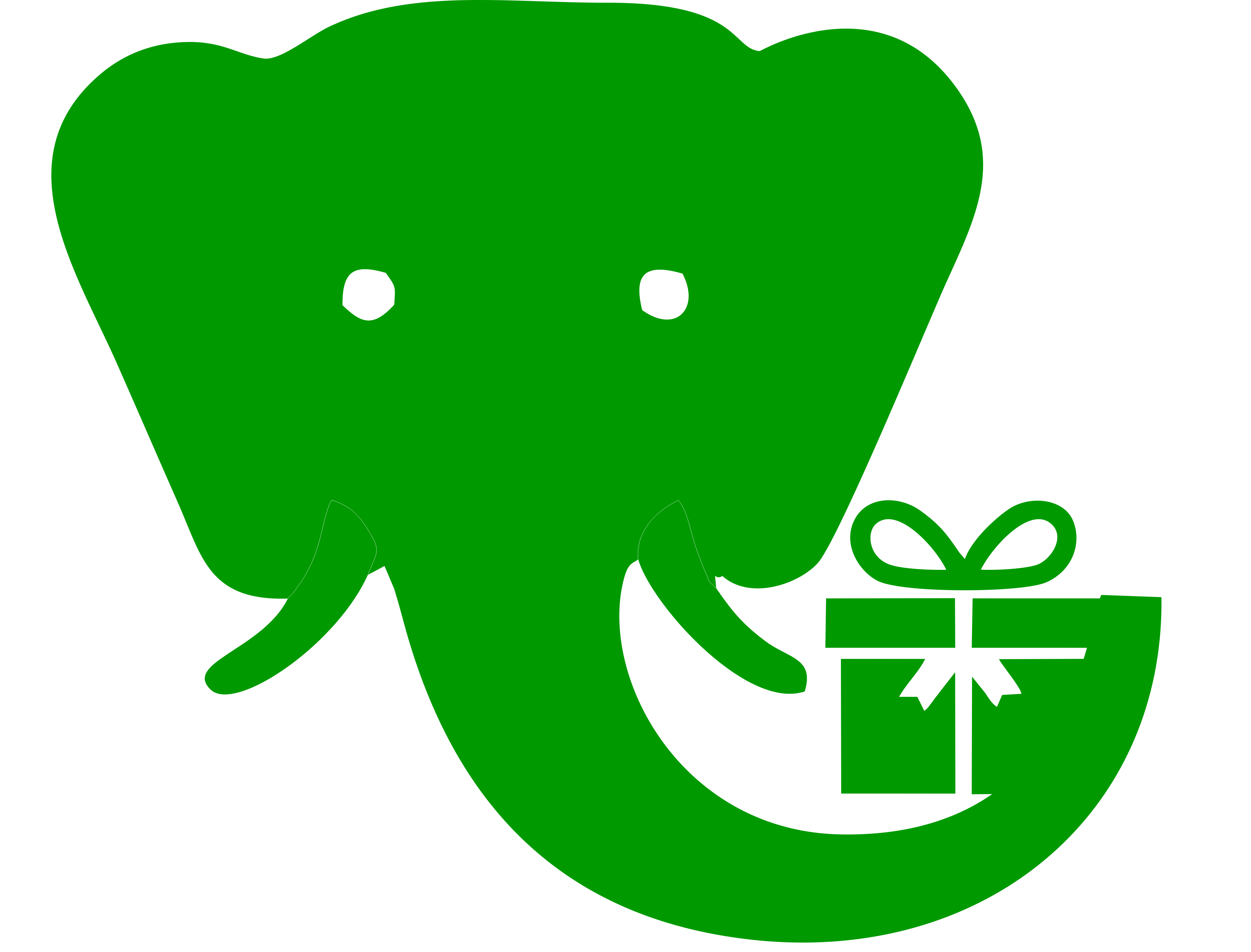 White Elephant Express